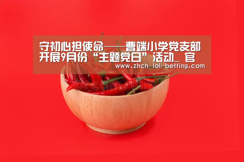 守初心担使命——曹端小学党支部开展9月份“主题党日”活动_ 