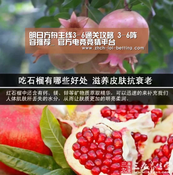 明日方舟主线3-6通关攻略 3-6阵容推荐_ 官方电竞竞猜平台(图4) LOL英雄联盟投注