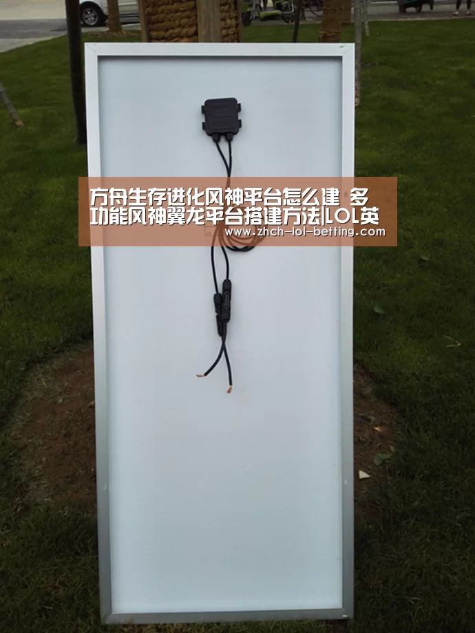 方舟生存进化风神平台怎么建 多功能风神翼龙平台搭建方法|LOL英雄联盟投注 (图4) 官方电竞竞猜平台