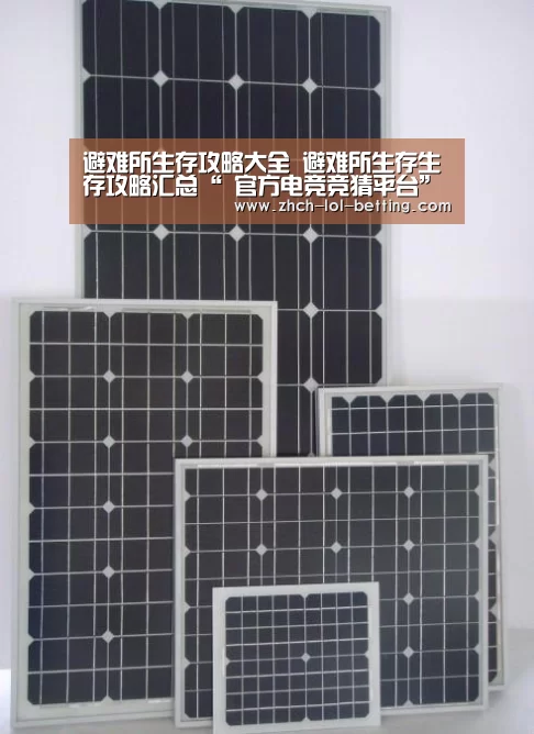 避难所生存攻略大全 避难所生存生存攻略汇总“ 官方电竞竞猜平台”(图2) 官方电竞竞猜平台