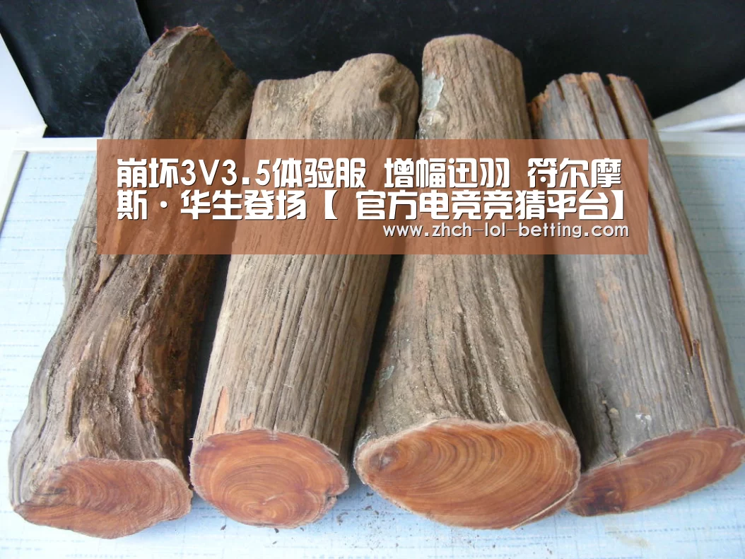 崩坏3V3.5体验服 增幅迅羽 符尔摩斯·华生登场【 官方电