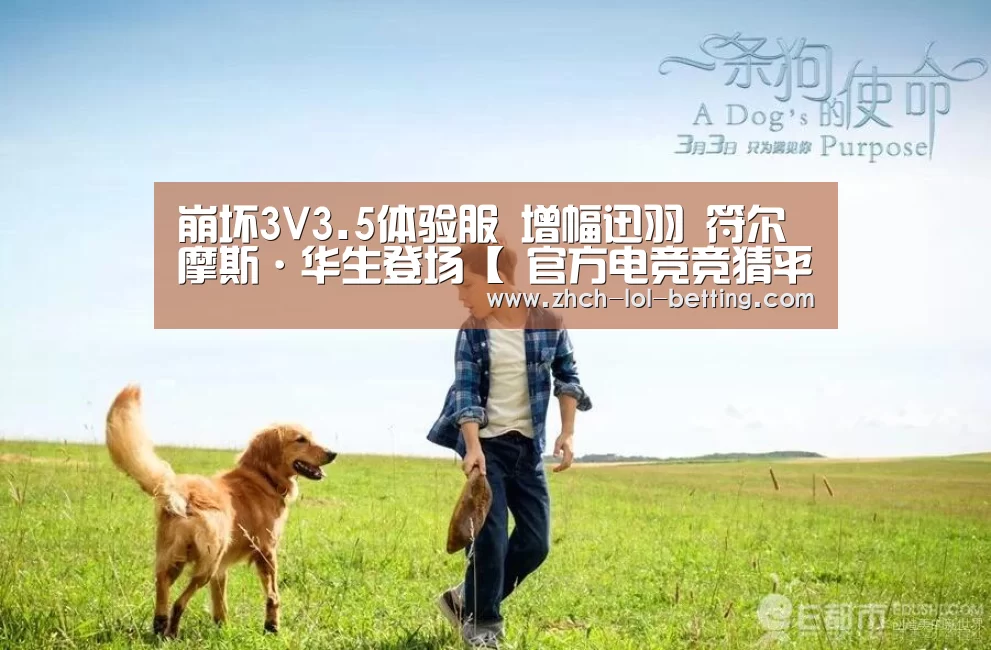LOL英雄联盟投注 